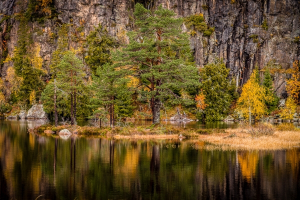 Stølevann på Skrimfjell