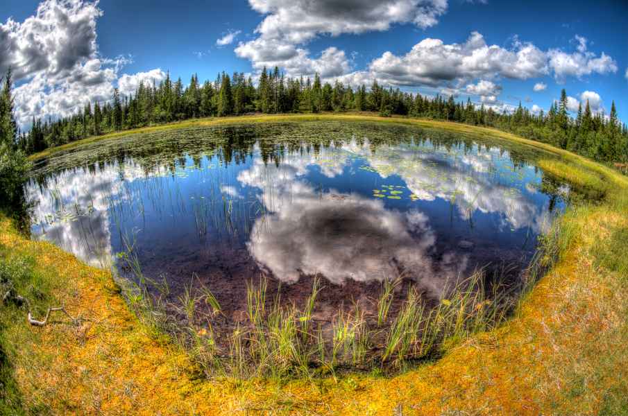 Fisheye